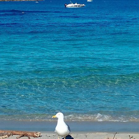 Studio 4P Vue Mer Calme Cap Esterel Saint-Raphael  Ngoại thất bức ảnh